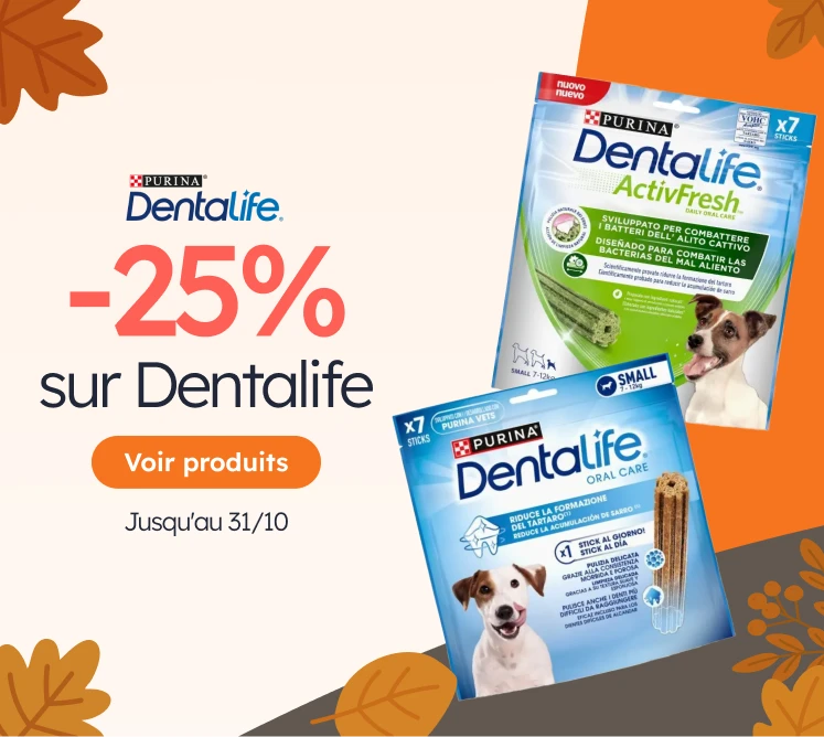 /c/octubre-dentalife25?utm_source=home&utm_medium=banner&utm_campaign=octubre-dentalife25&utm_conten