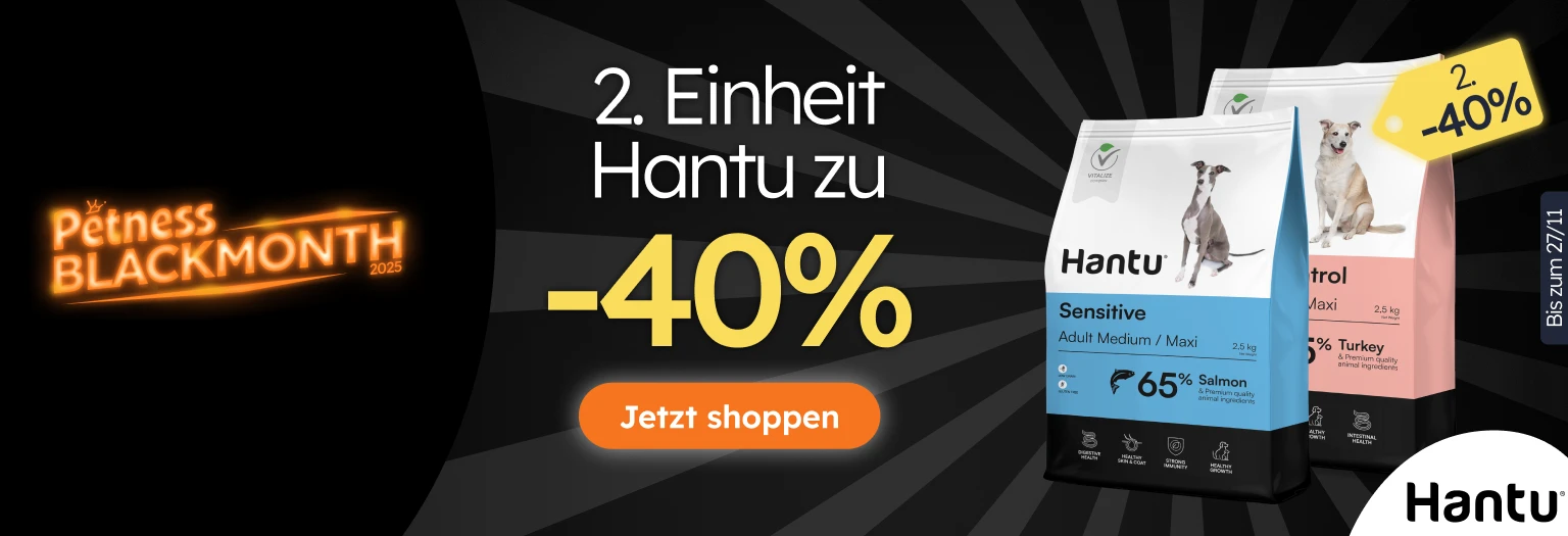 /c/noviembre-hantu-2-40 