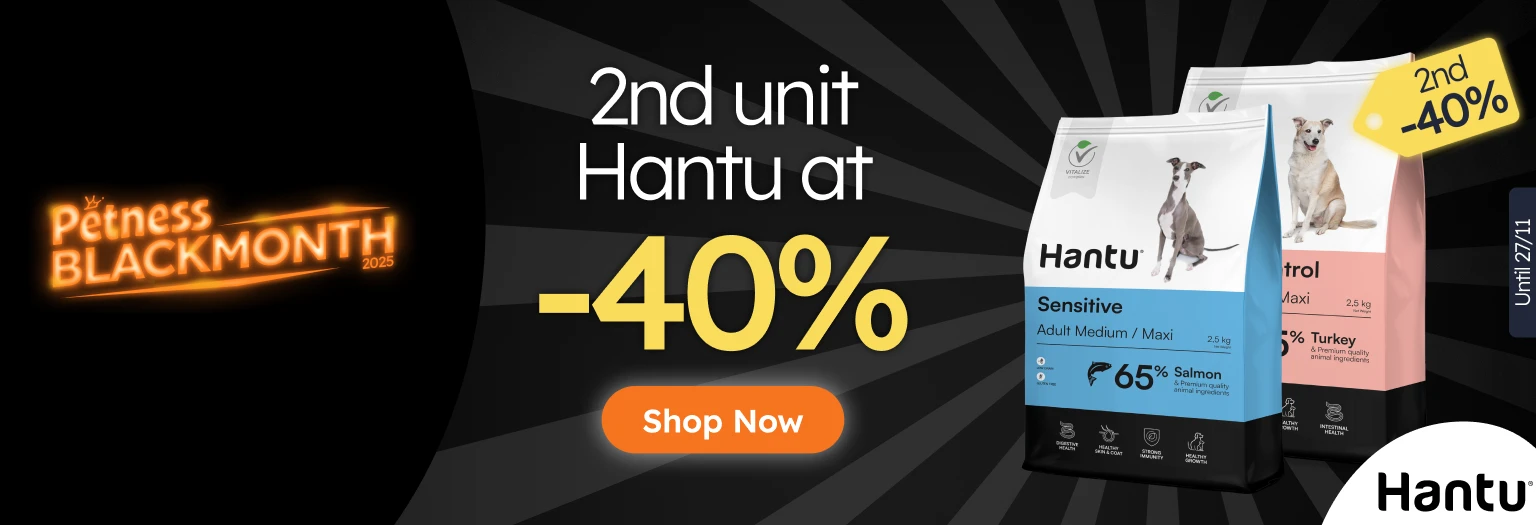 /c/noviembre-hantu-2-40 