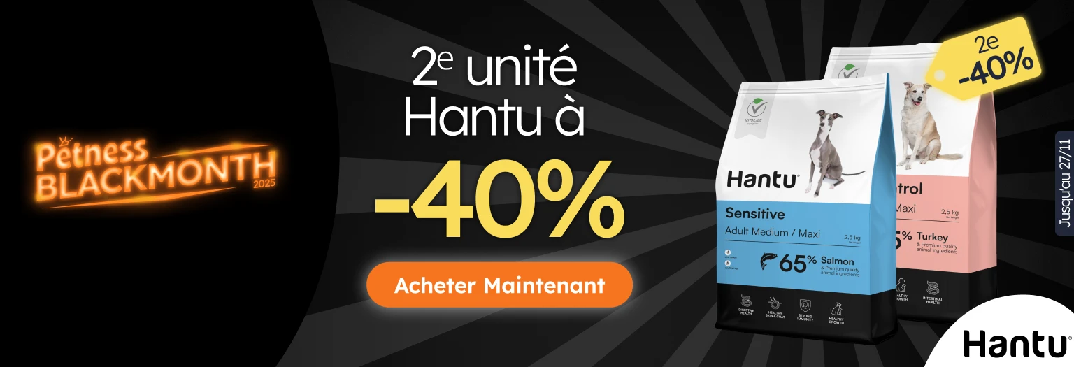 /c/noviembre-hantu-2-40 