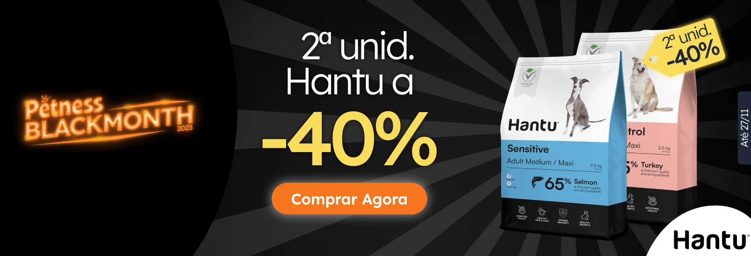 /c/noviembre-hantu-2-40 