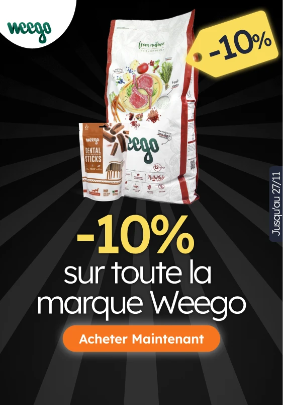 /c/novembro-weego-10