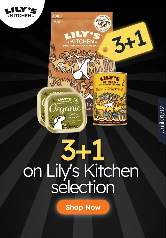 /c/novembro-lilyskitchen-3-1