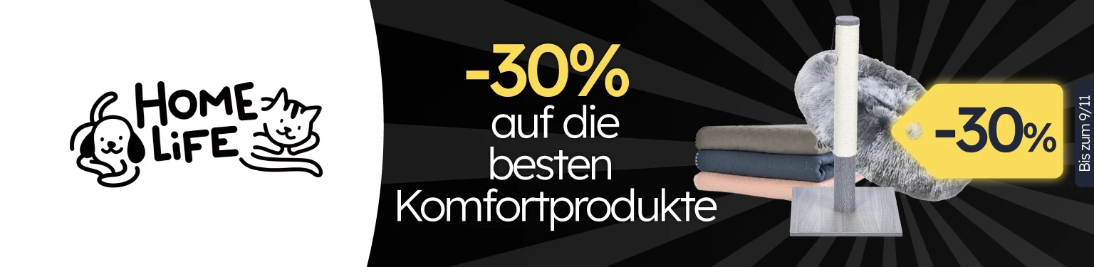 /c/novembro-homelife-cat-30