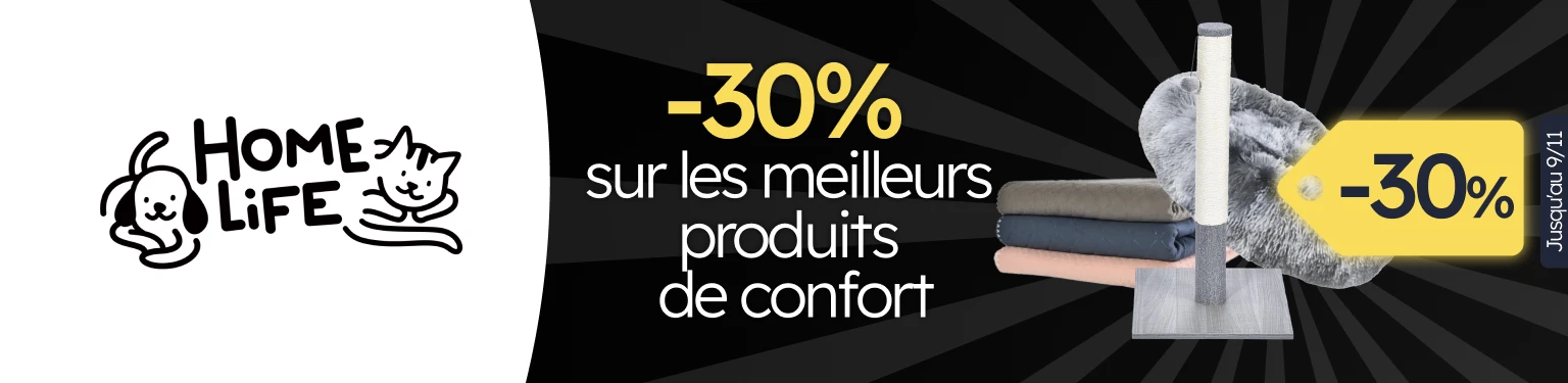 /c/novembro-homelife-cat-30