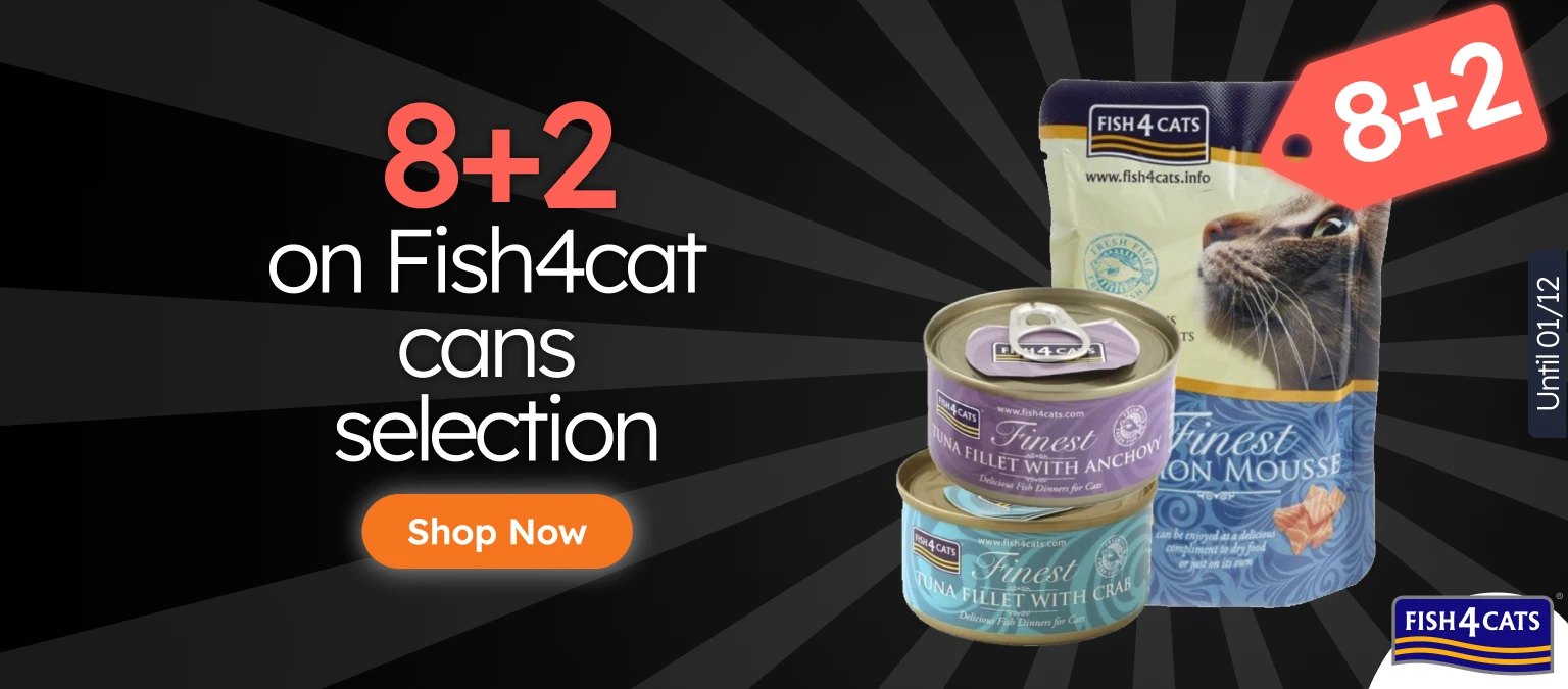 /c/novembro-fish4cat-9-1