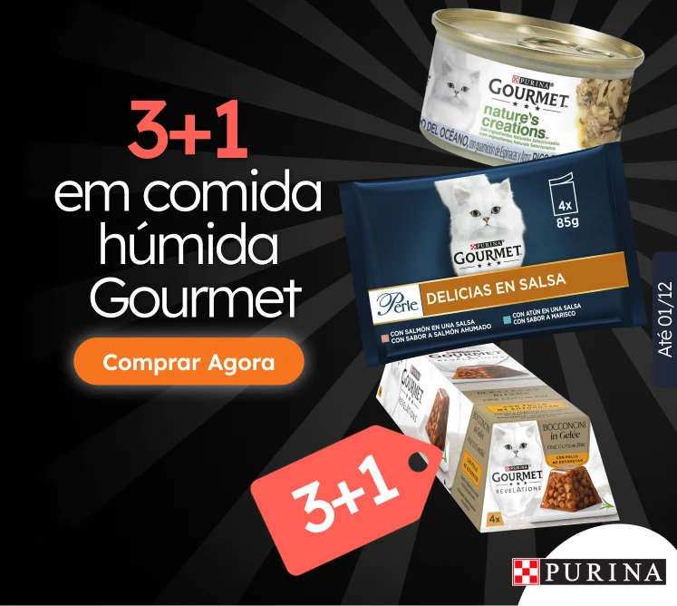 /c/novembro-gourmet-3-1