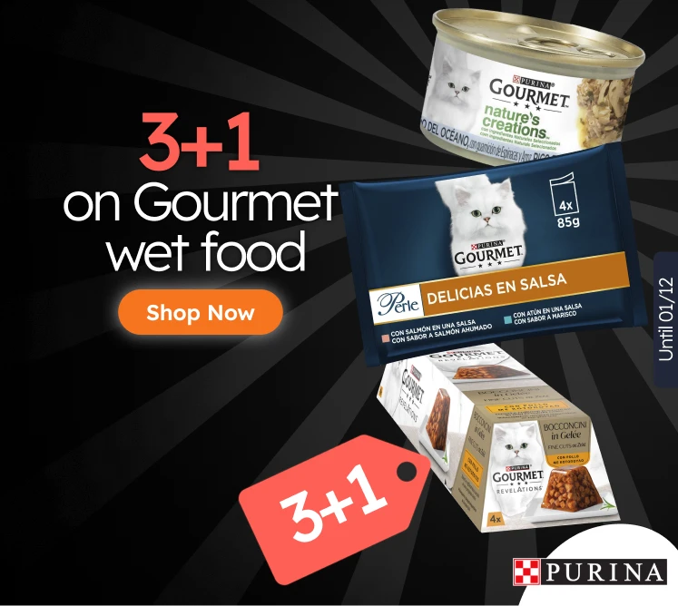 /c/novembro-gourmet-3-1