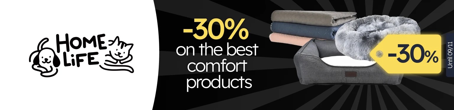 /c/novembro-homelife-dog-30