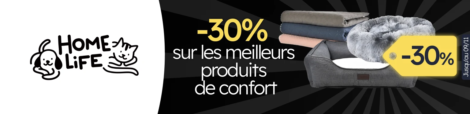 /c/novembro-homelife-dog-30