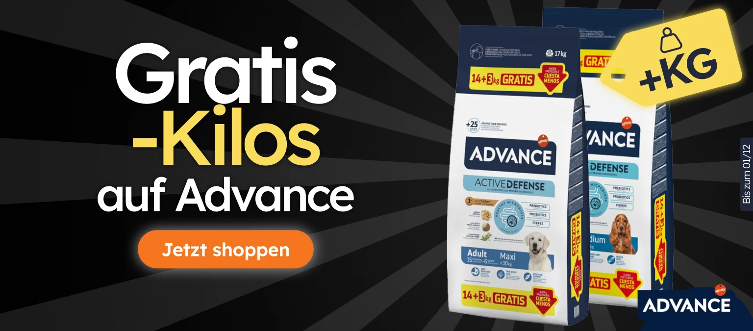 /c/noviembre-advance-kgfree