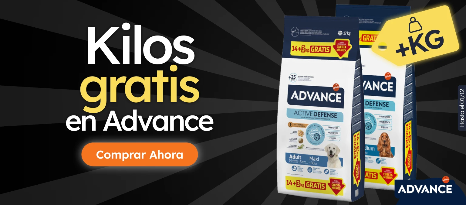 /c/noviembre-advance-kgfree