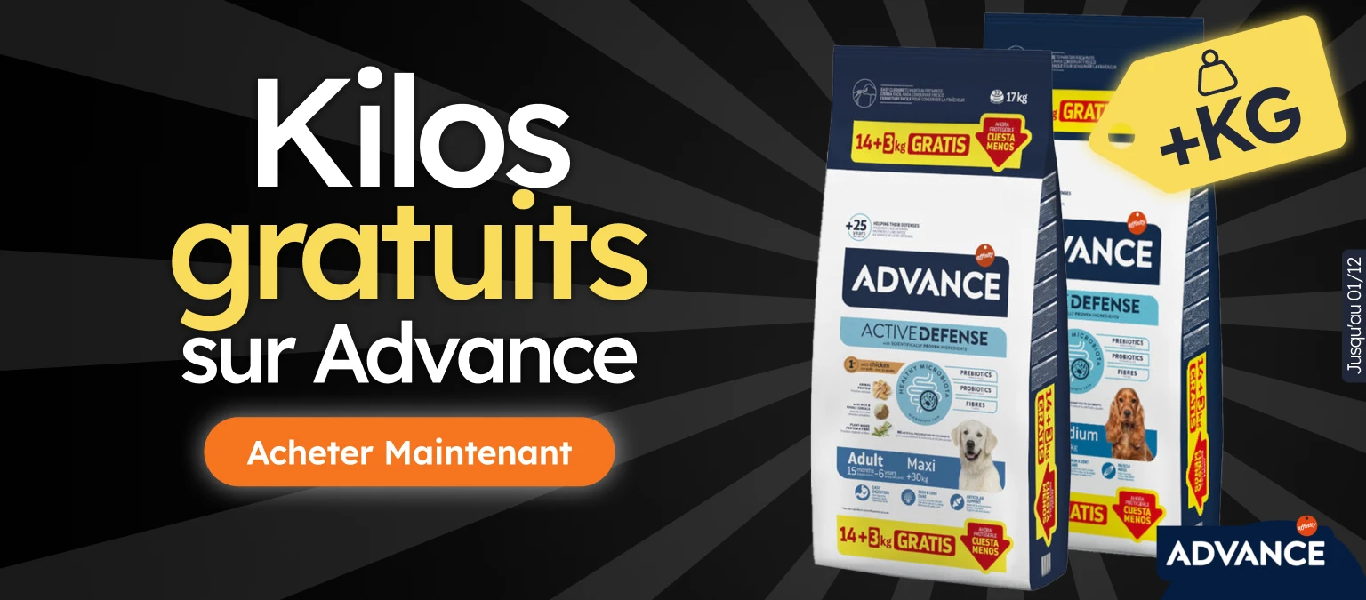 /c/noviembre-advance-kgfree