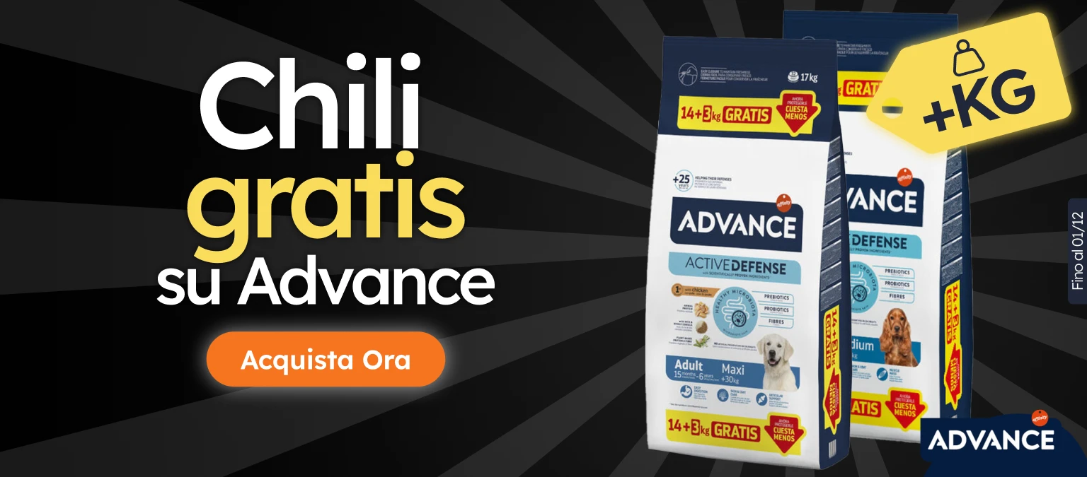 /c/noviembre-advance-kgfree