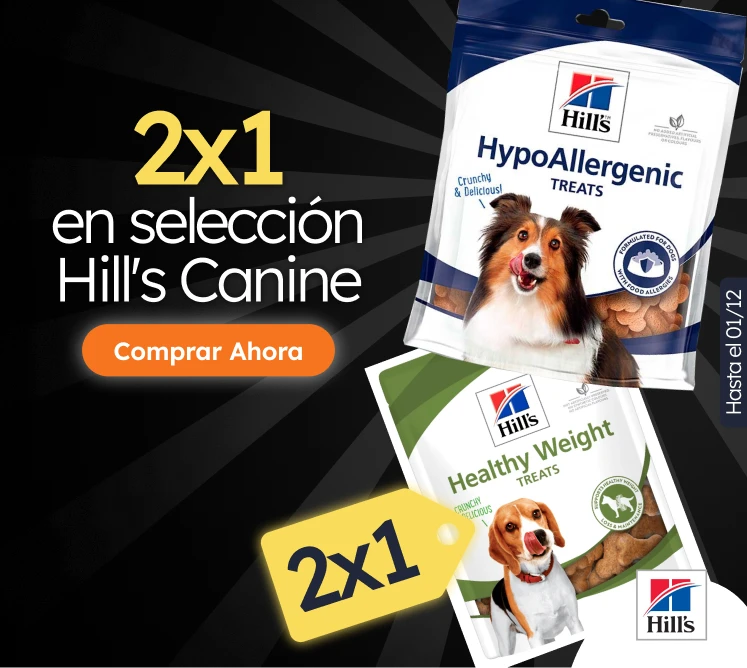 /c/noviembre-hills-2x1