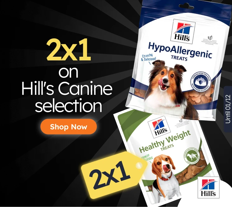 /c/noviembre-hills-2x1