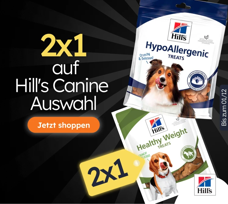 /c/noviembre-hills-2x1