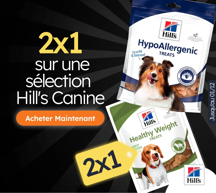 /c/noviembre-hills-2x1