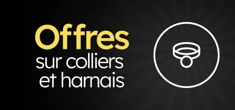 /c/novembro-collares-arneses