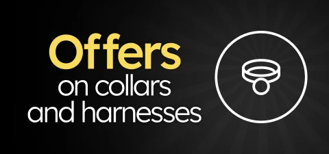 /c/novembro-collares-arneses