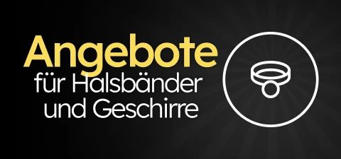 /c/novembro-collares-arneses