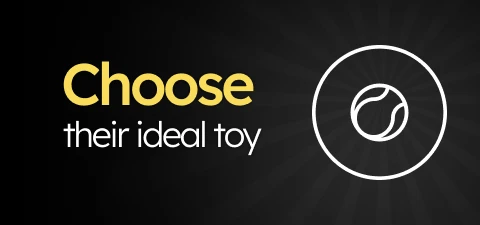 /c/novembro-juguetes