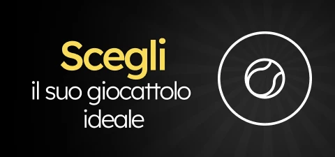 /c/novembro-juguetes