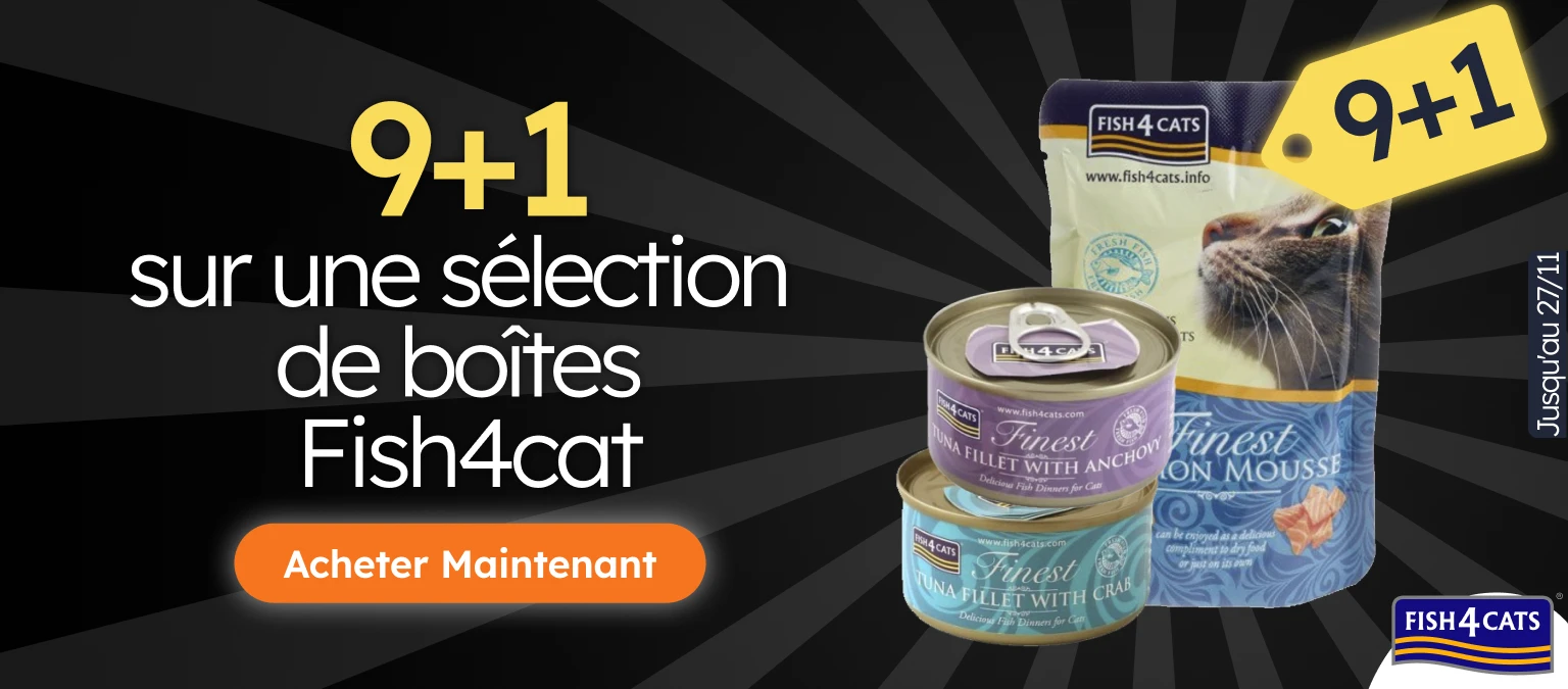 /c/novembro-fish4cat-9-1/116