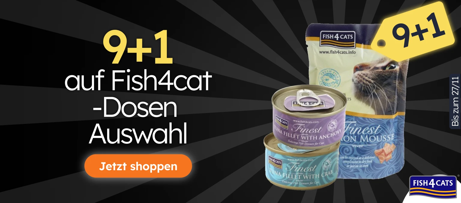 /c/novembro-fish4cat-9-1/116