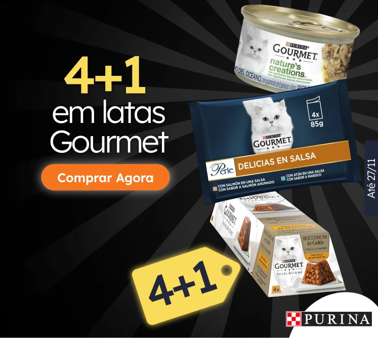 /c/novembro-gourmet-3-1