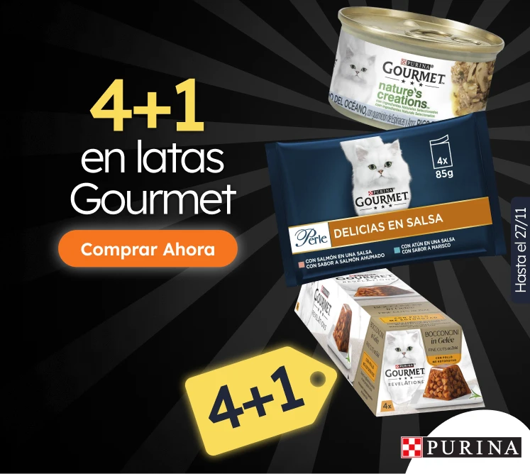 /c/novembro-gourmet-3-1