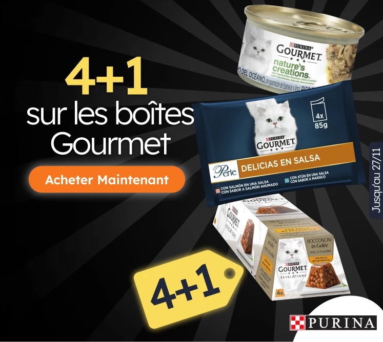 /c/novembro-gourmet-3-1