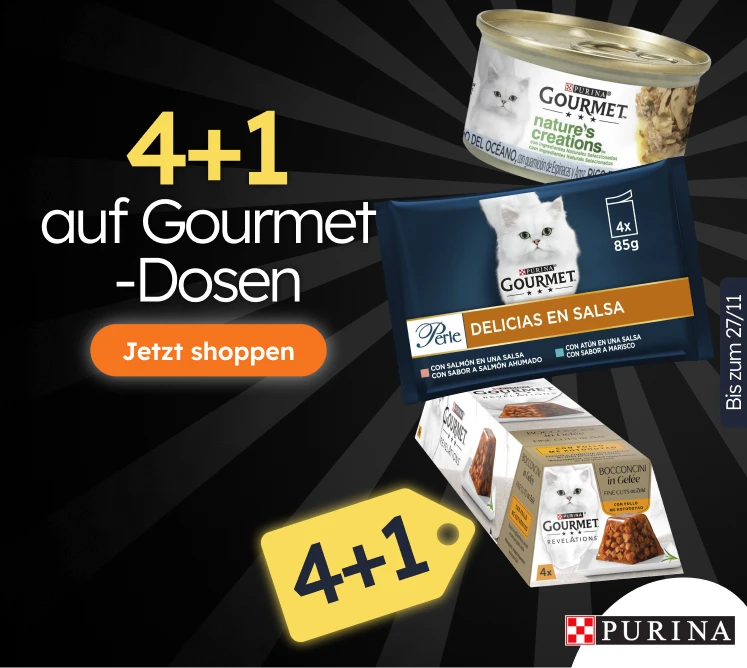 /c/novembro-gourmet-3-1