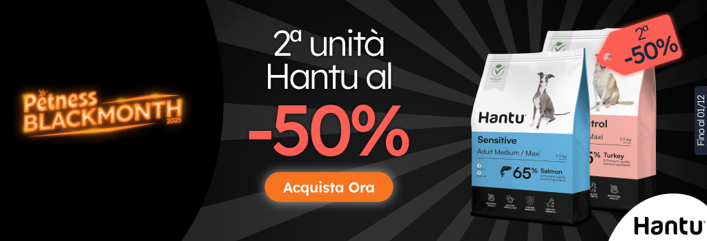 /c/noviembre-hantu-2-50