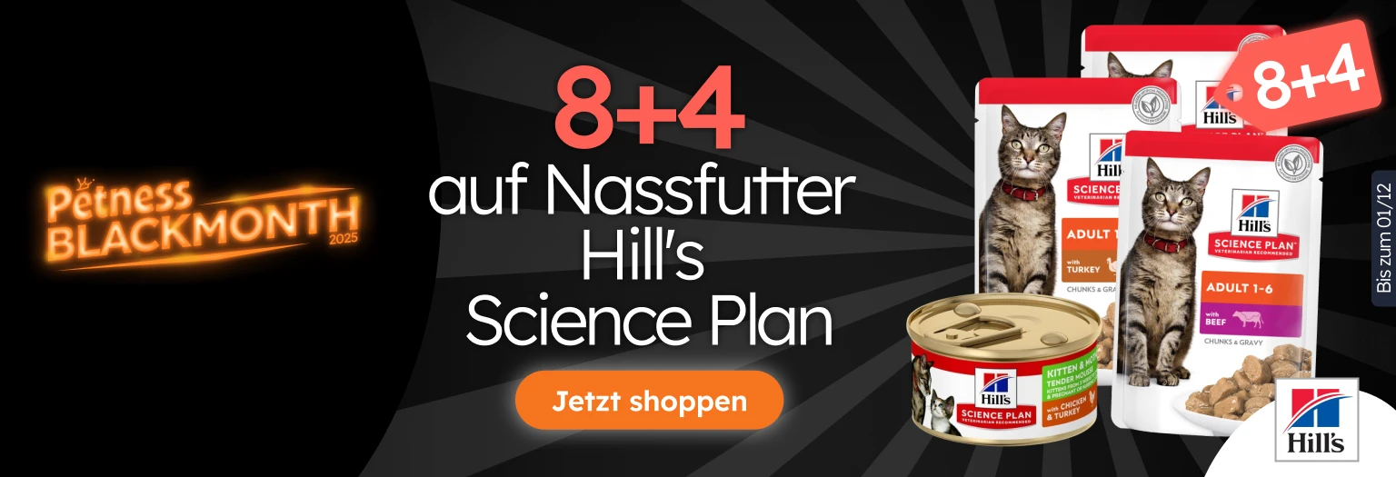 /c/noviembre-hills-8-4