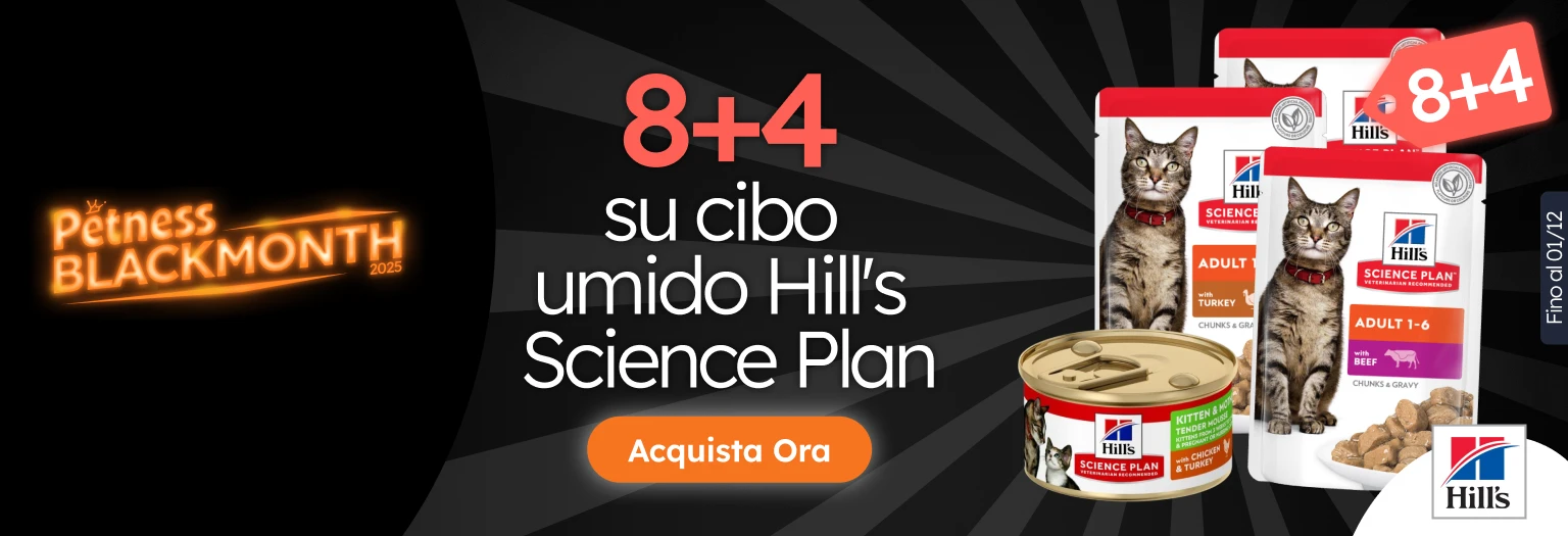 /c/noviembre-hills-8-4