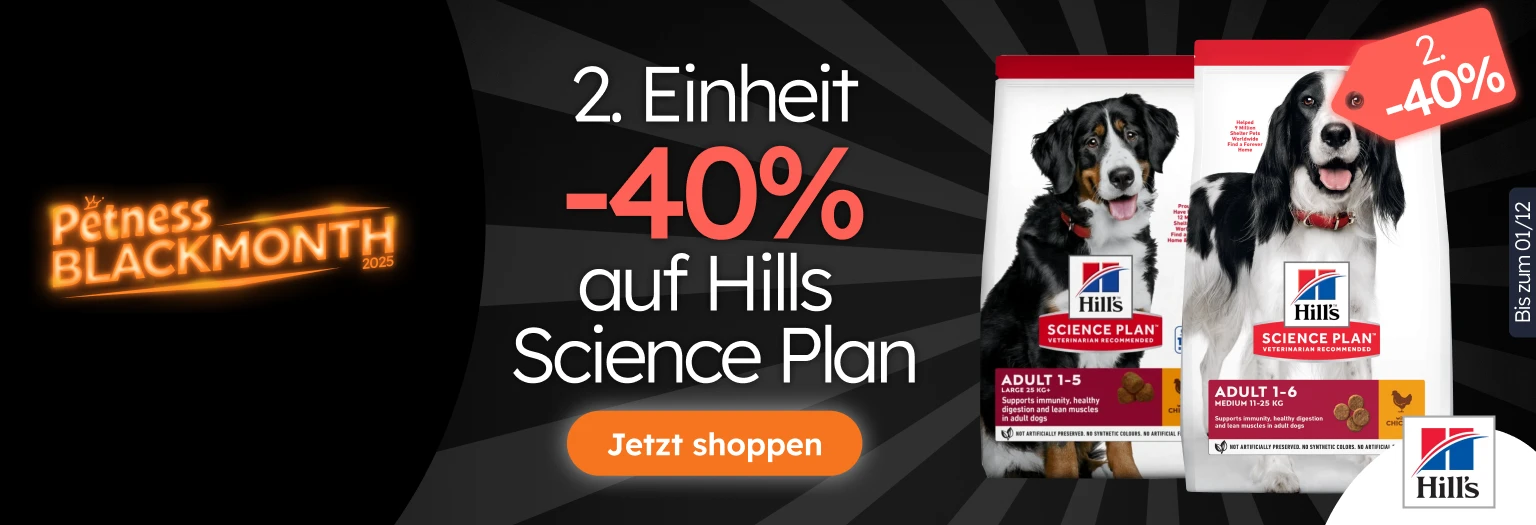 /c/noviembre-hills-2-40