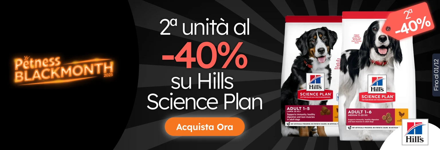 /c/noviembre-hills-2-40