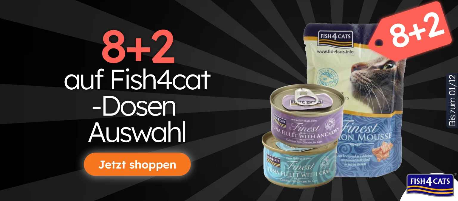 /c/novembro-fish4cat-8-2