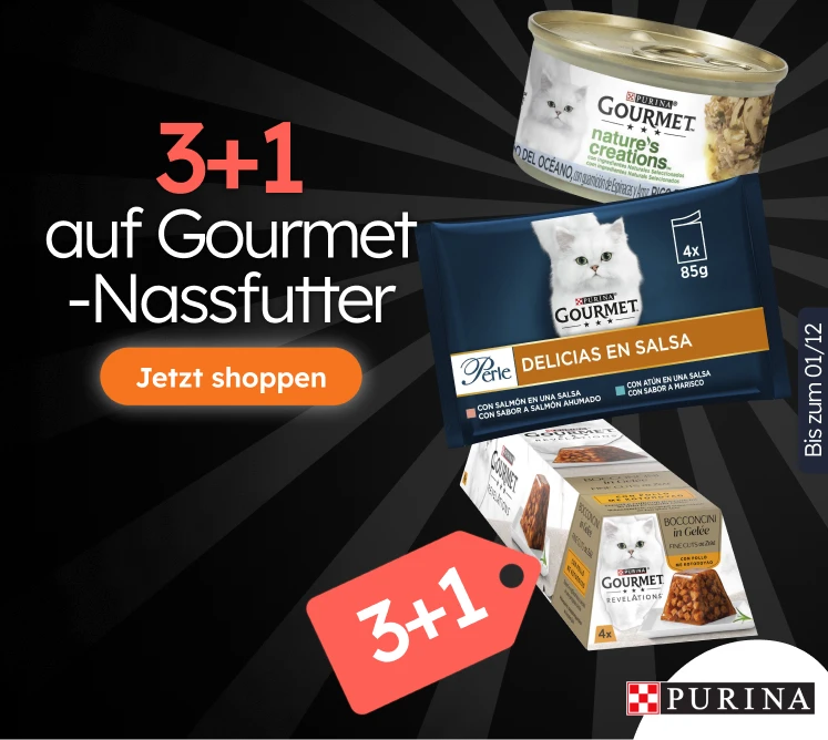 /c/novembro-gourmet-3-1