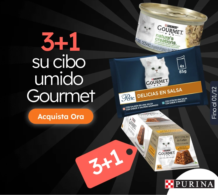 /c/novembro-gourmet-3-1