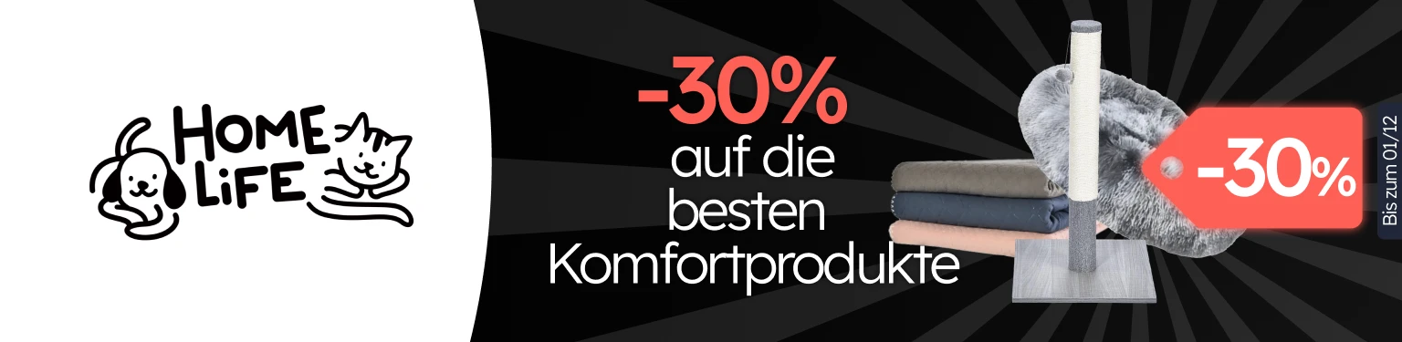 /c/novembro-homelife-cat-30