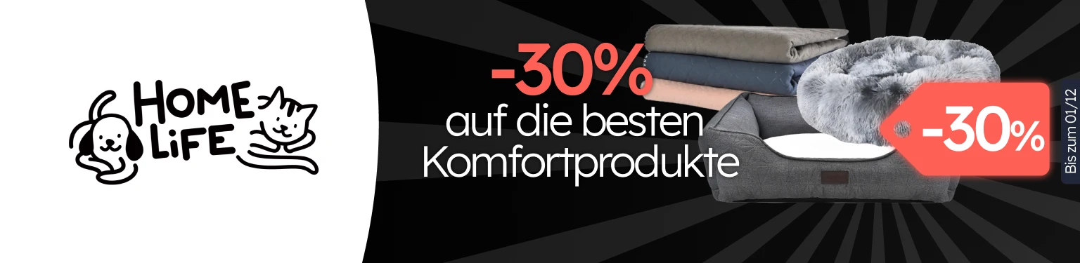 /c/novembro-homelife-dog-30