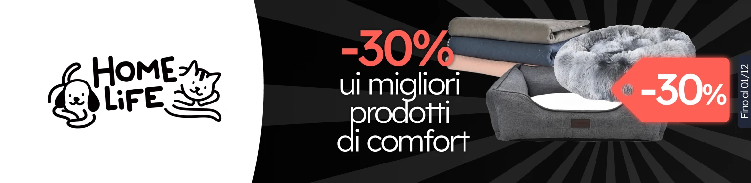 /c/novembro-homelife-dog-30