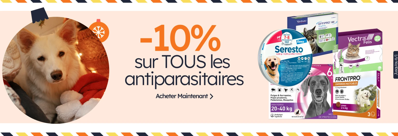 /c/diciembre-antiparasitarios