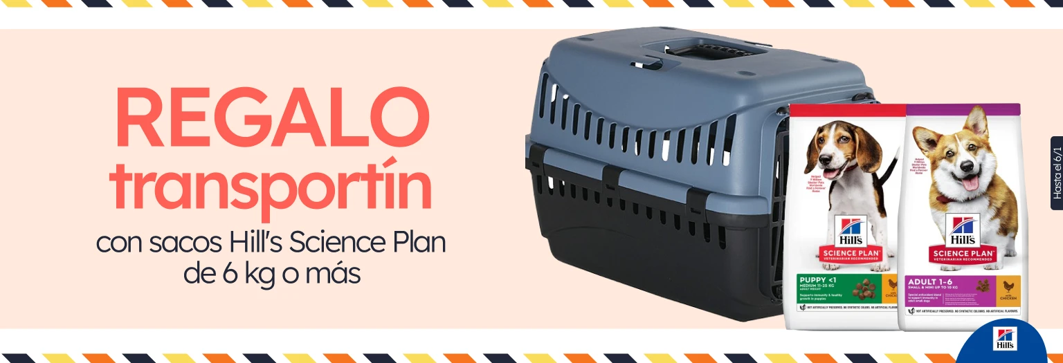 /c/diciembre-hills-gift-transportin