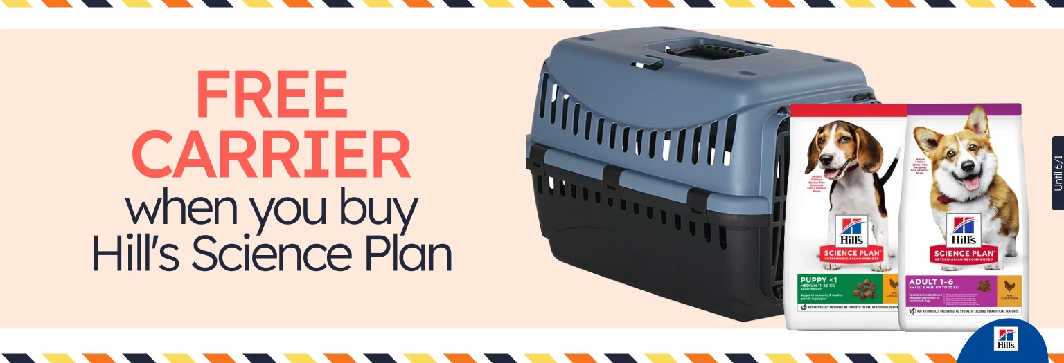 /c/diciembre-hills-gift-transportin