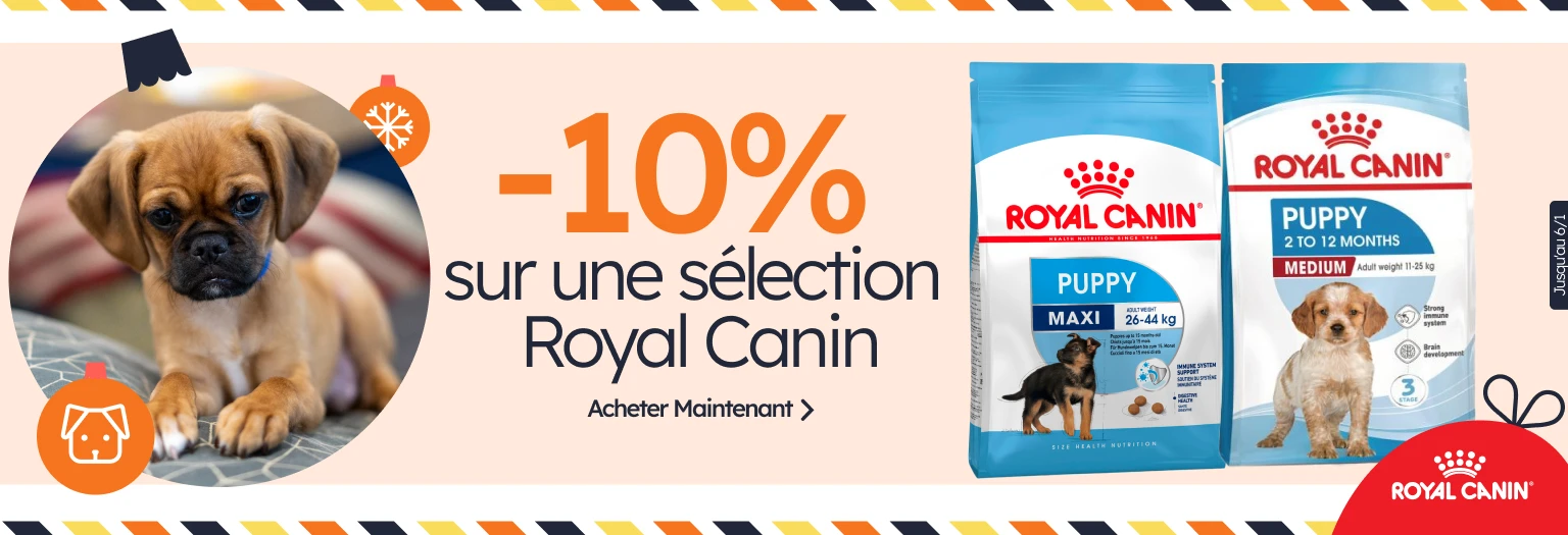 /c/diciembre-royal-canin-10