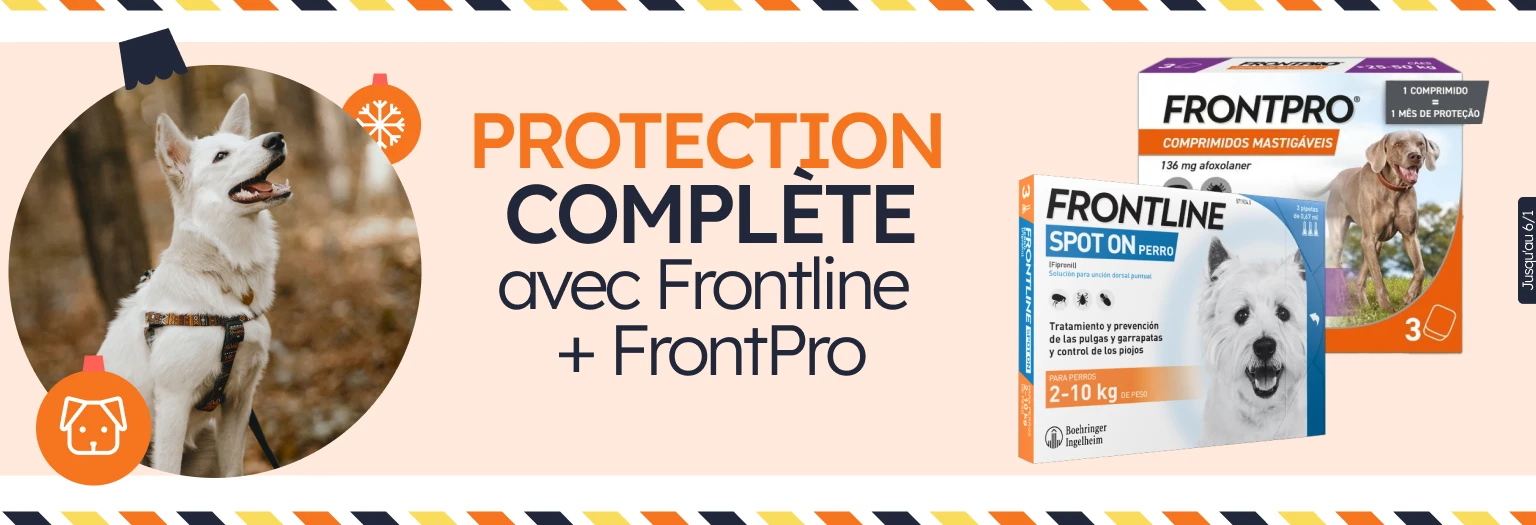 /c/diciembre-frontline-frontpro