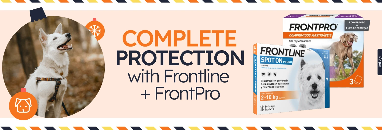 /c/diciembre-frontline-frontpro